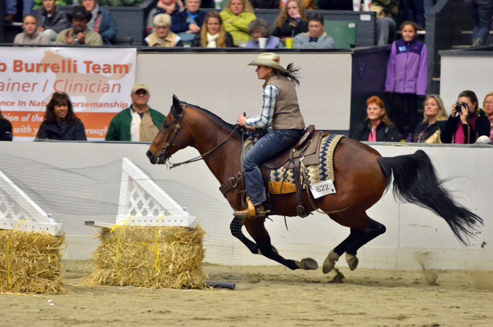Experience your first horseback ride at Equine Affaire CityScene Magazine